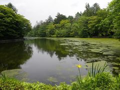 雲場池の写真1