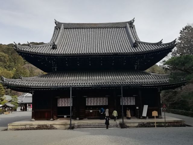 仏殿です_泉涌寺仏殿