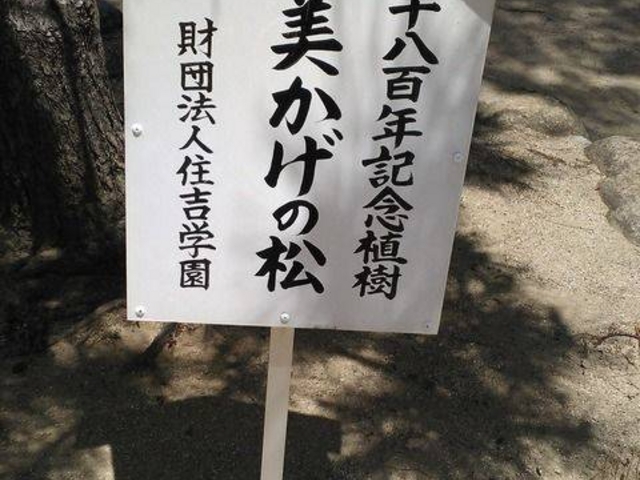 「御鎮1800年記念植樹 3代目 美かげの松」の立て札です。_本住吉神社