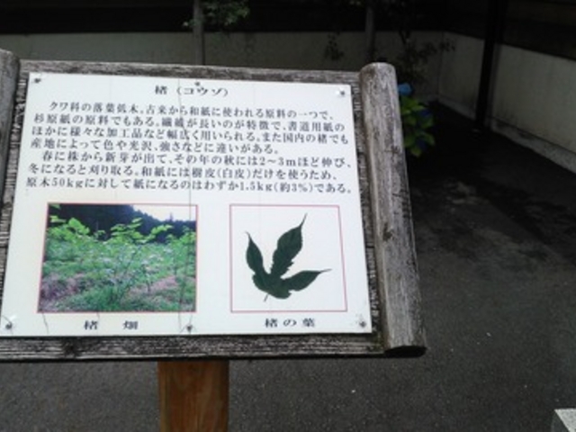 「楮」の説明板です。_杉原紙研究所