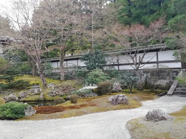 泉涌寺御座所庭園です_泉涌寺庭園