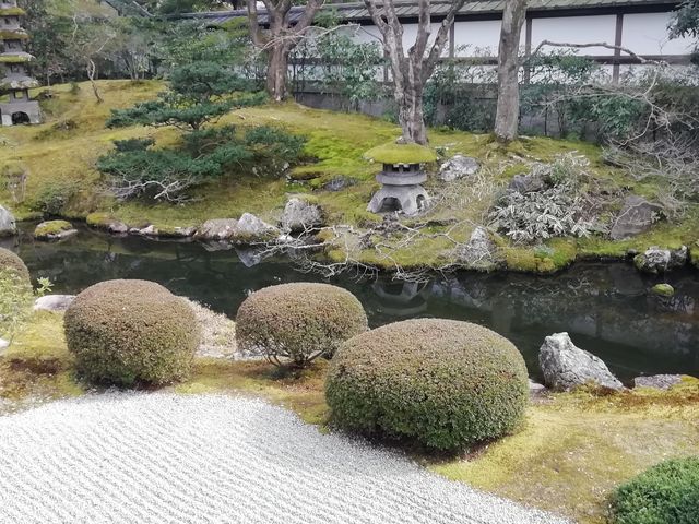 泉涌寺御座所庭園です_泉涌寺庭園