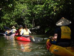 やんばるエコフィールド 島風の写真1