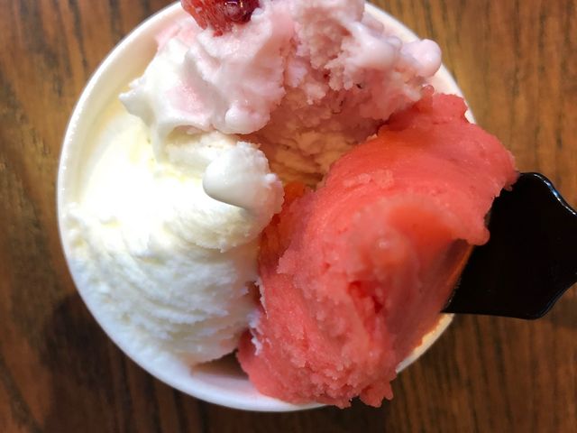 トリプルのジェラート_arima gelateria Stagione