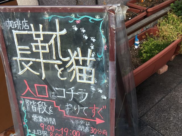 通りから分かりやすいように看板出てます_長靴と猫