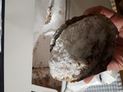 もんさんのロワイヤル テラッセ エスパル店の投稿写真1