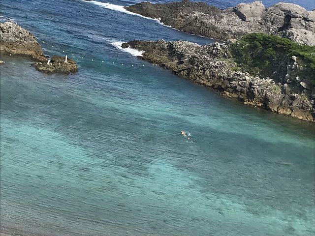 綺麗な海でした。魚もいっぱい_BlueMarine02