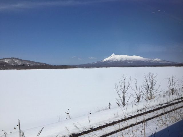 大沼公園_大沼公園散策路