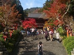 キッドさんの鞍馬山への投稿写真1