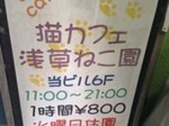 めぐみさんの浅草ねこ園への投稿写真1