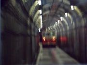 甘辛熊さんの立山トンネルトロリーバスの投稿写真2