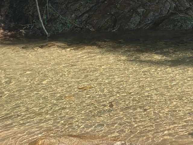 川で遊んで、お昼ご飯だけでも予約無しで利用できます_天好園