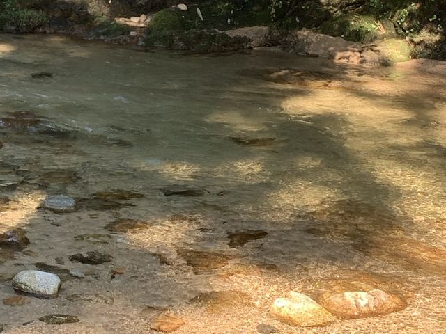 直ぐ下の川_天好園