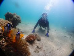 michiさんのブルーアース21熊本への投稿写真1