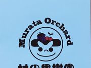 パンダさんの村田果樹園の投稿写真1