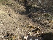 Shotaさんの向羽黒山城跡の投稿写真1
