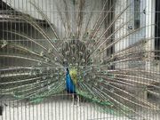 ナベちゃんさんの西山動物園の投稿写真1