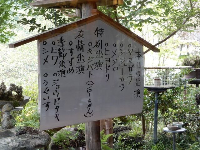 野鳥が来るようです_手打ちそば美田村