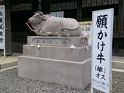 こんぱらさんの見付天神・矢奈比賣神社の投稿写真1
