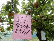 坊ちゃんさんのチヨダ園芸の投稿写真3