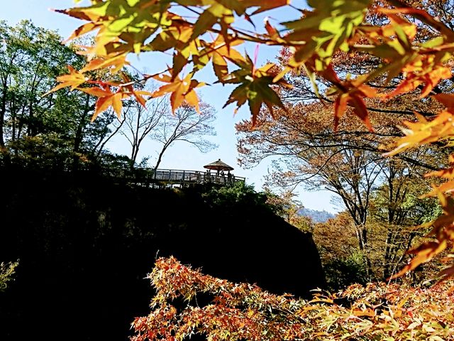 yu‐cyanさんの懐古園の投稿写真1