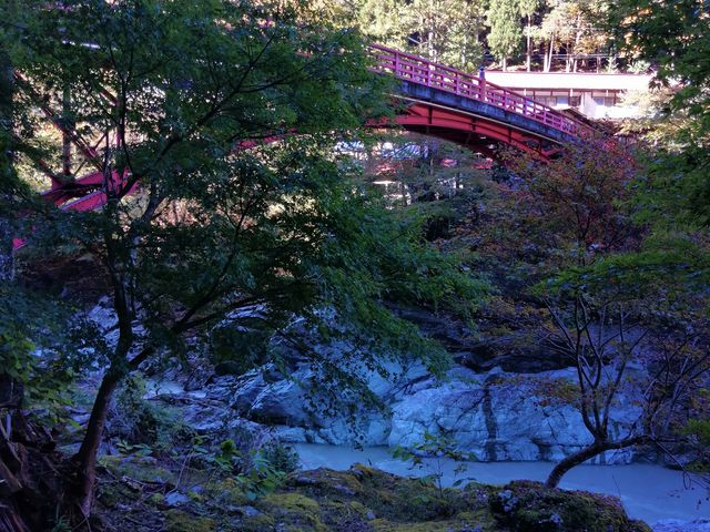 akaneさんの登龍橋の投稿写真1