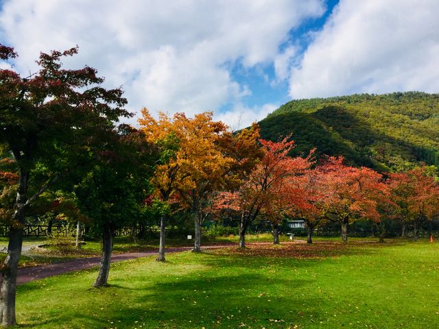 十和田湖近辺です1_十和田湖の紅葉
