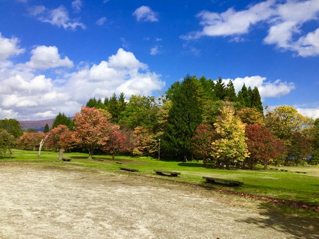 十和田湖近辺3_十和田湖の紅葉