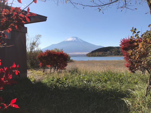 サイクリングロードの横に止めて撮りました。_サイクリングロード