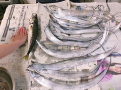 たまごさんの鴨居大室港 釣船 五郎丸への投稿写真1