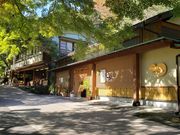 くうちゃんさんの養老公園の紅葉の投稿写真1