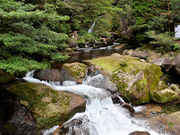 仏像さんの白谷雲水峡の投稿写真1
