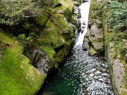 仏像さんの白谷雲水峡の投稿写真3