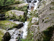 仏像さんの白谷雲水峡の投稿写真4