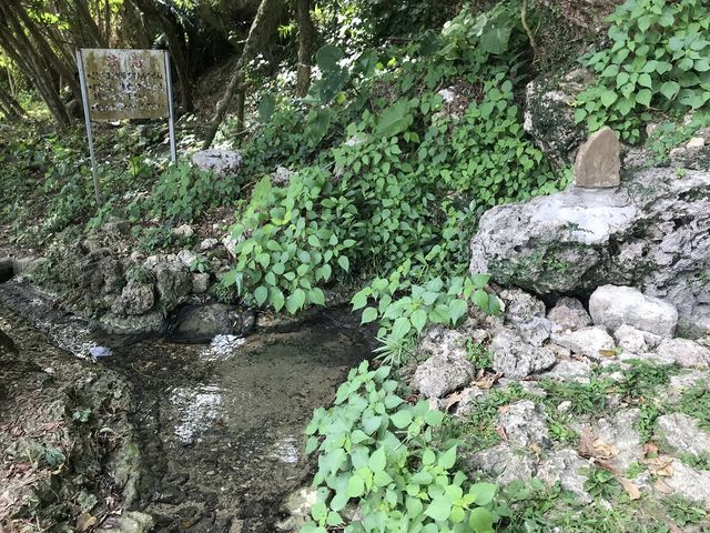 受水の泉_受水走水