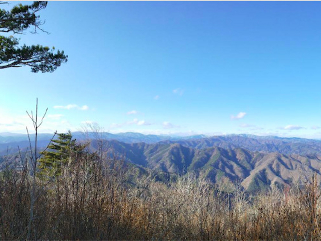 ちーたんさんの鯨山(岩手県山田町)の投稿写真2