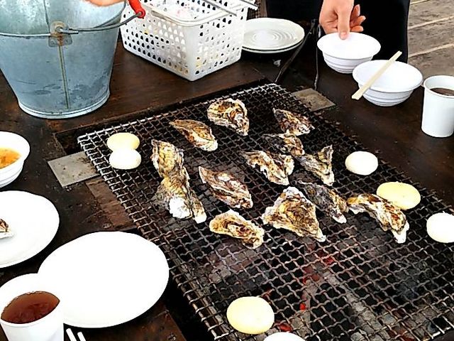 最初は炭火の熱さや弾ける牡蠣にびっくりするかも。食べはじめたら忘れます。_くいどうらく