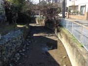 ひーちゃんさんの大丸用水の投稿写真1