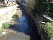 ひーちゃんさんの大丸用水の投稿写真2