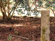 hydeさんの観音寺城跡の投稿写真1