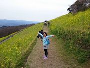 K-NAKAさんのマザー牧場のなのはなの投稿写真1