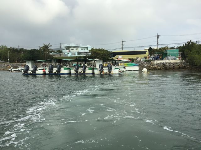 離発着乗り場_仲間川遊覧船