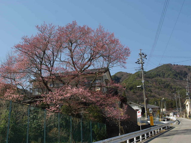 メタボ大王さんの風越山の投稿写真1