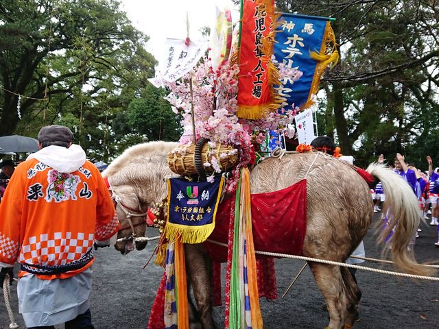 馬子にも衣装?_鹿児島神宮