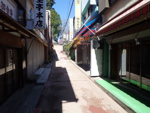 駒鳥売店