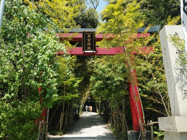 来宮神社(静岡県伊豆市)