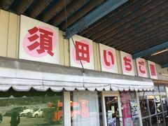 須田いちご園の写真1