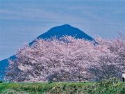たかちゃんさんの三上山(近江富士)の投稿写真1