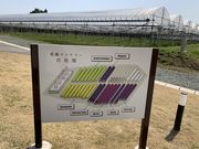 ゆーかさんの菊鹿ワイナリーアイラリッジの投稿写真4