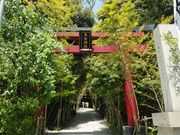 にゃんこ先生さんの来宮神社の投稿写真1